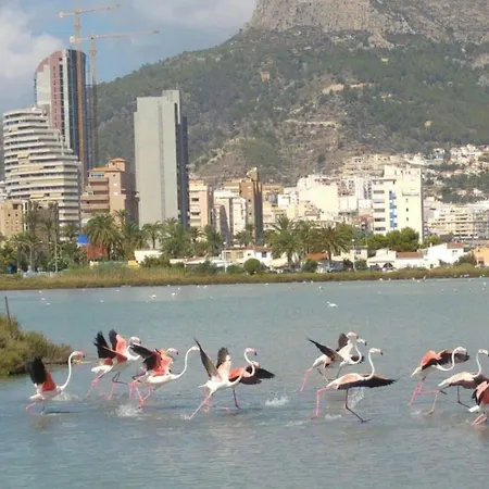 شقة A 2 Min De Playa *